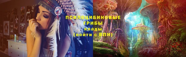 spice Абаза