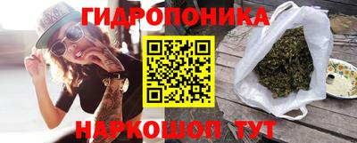 индика Абакан