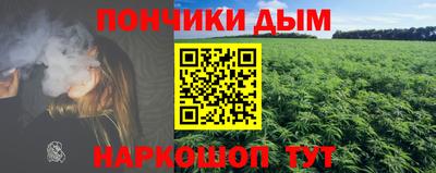 индика Абакан