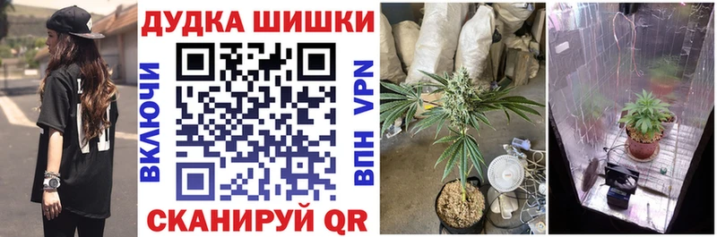 купить наркотик  Алексин  Марихуана SATIVA & INDICA 